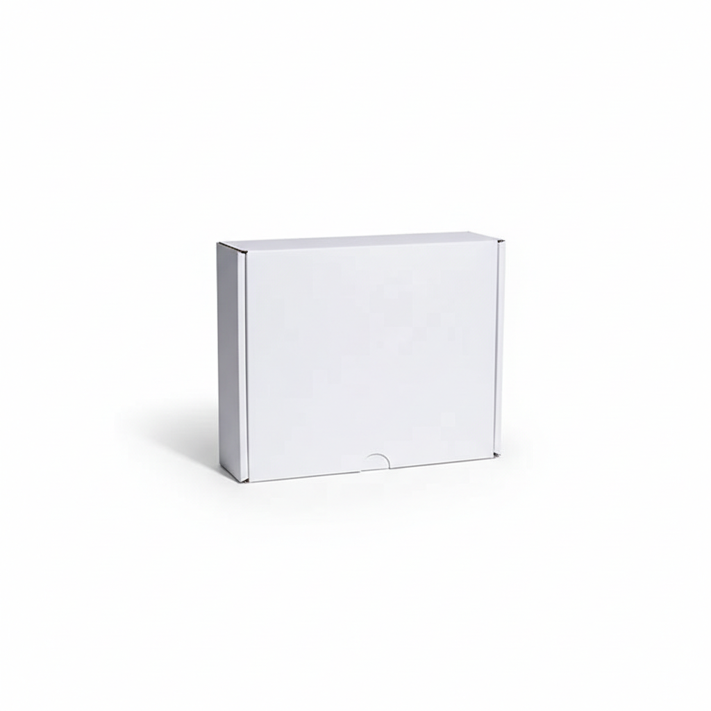 PAPER DINNER BOX MEDIUM 