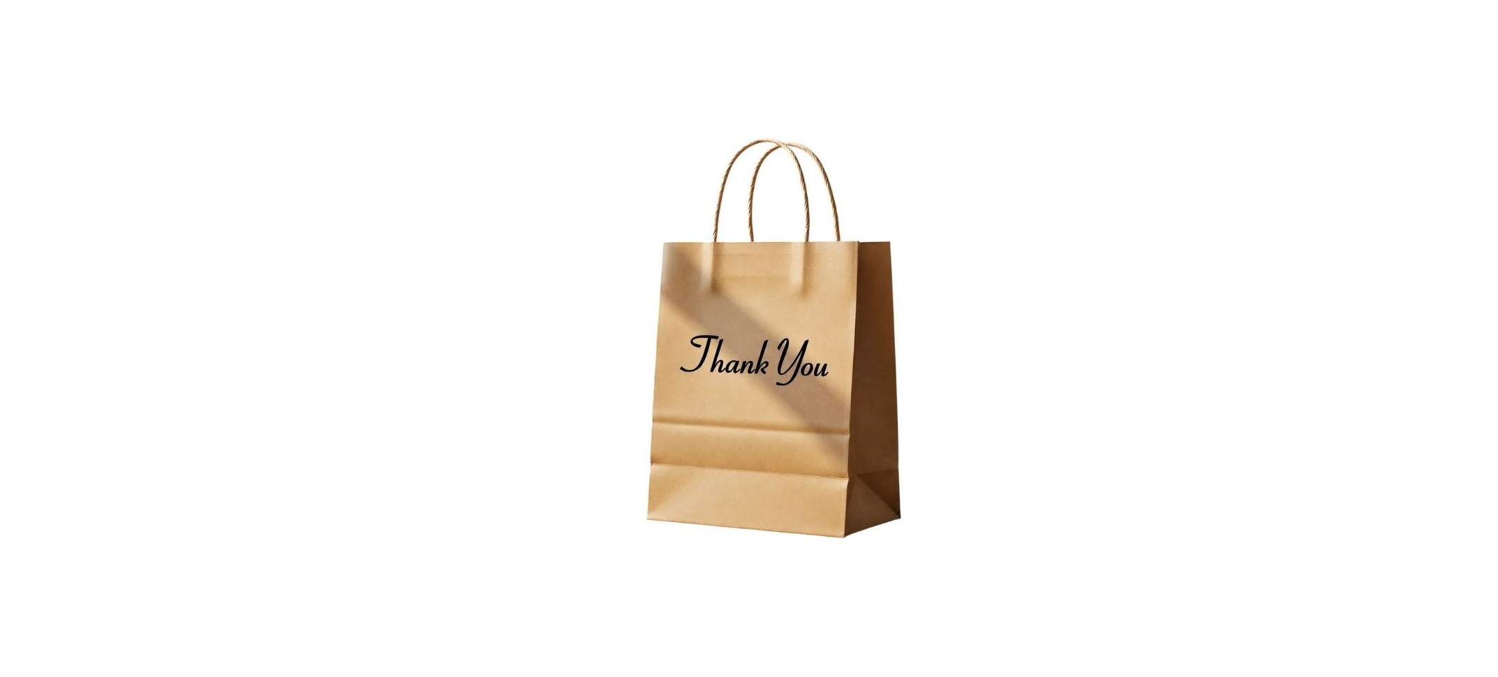 KRAFT TWISTED HANDLE TAKEAWAY BAG