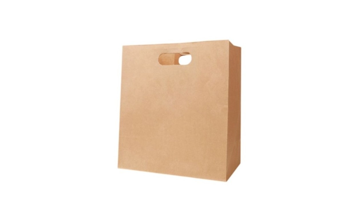 KRAFT DIE CUT HANDLE BAGS 