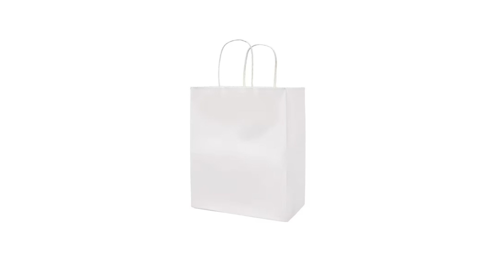 TWISTED HANDLE PAPER BAG MEDIUM 